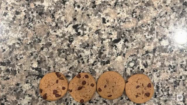 Cookie Study film still
